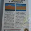 2600 OFTHEWALL-02 OFF THE WALL-ATARI VCS 2600-NTSC-BRAND NEW.