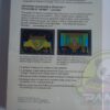 ADVANCE DUNGEONS & DRAGONS: TREASURE OF TARMIN INTELLIVISION-NTSC-BRAND NEW.