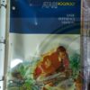 THE PROGRAMMER-ATARI 400/800 COMPUTER SYSTEM-BRAND NEW